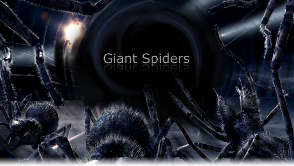 gigant spiders