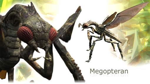 Megopteran