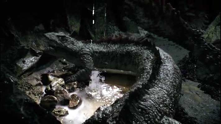 labyrinthodont4